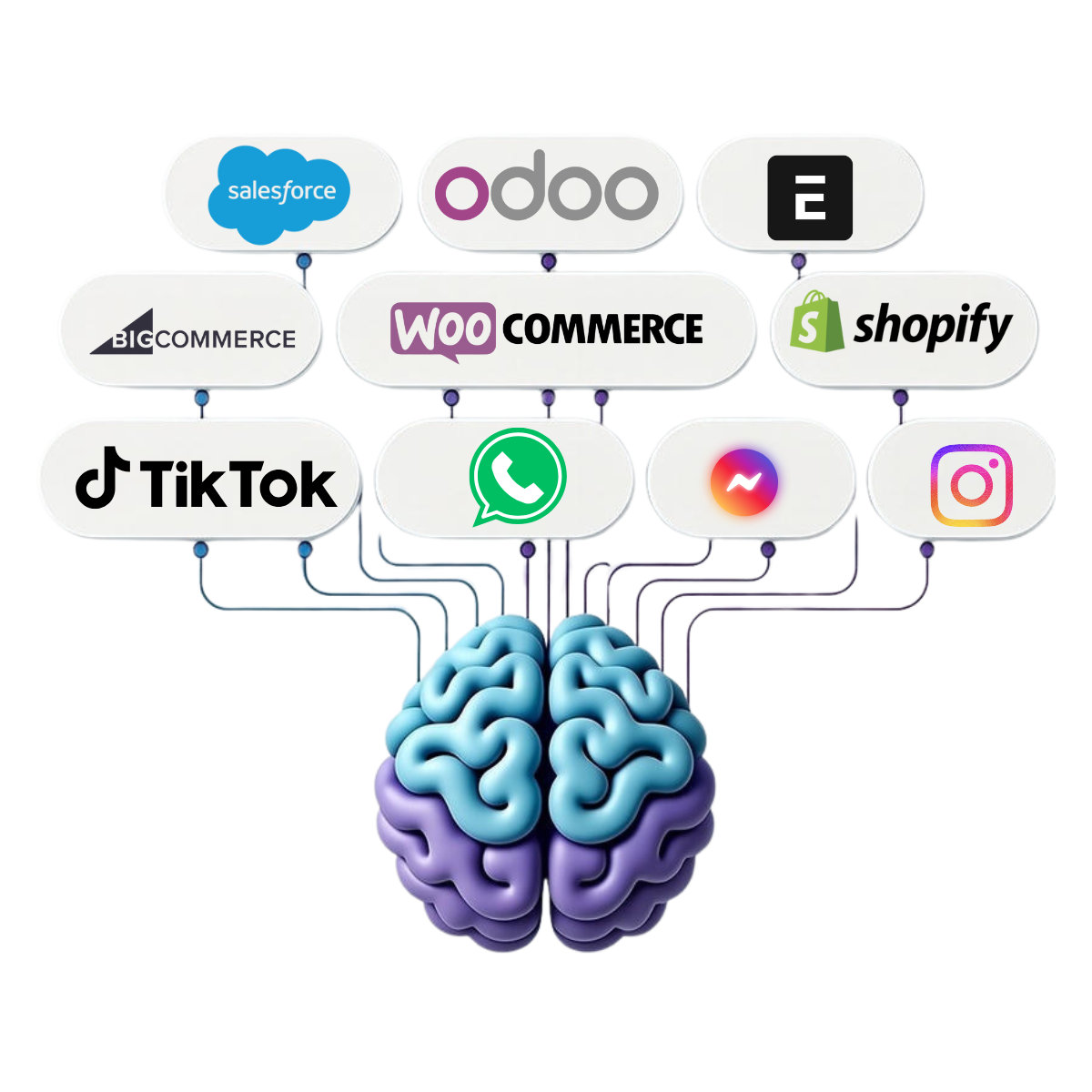 integrations for WhatsApp chatbot for business, Instagram, and E-commerce platforms for Self-Hosted AI chatbot